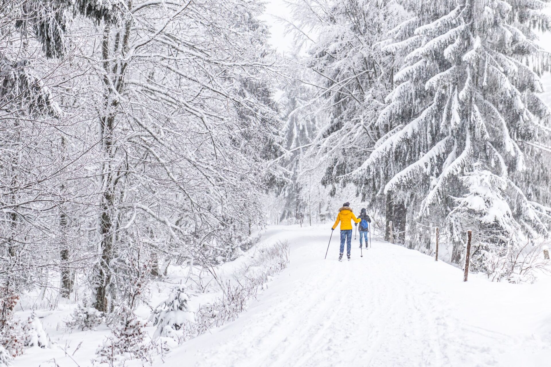 Winterwandern und Langlaufski| Foto: © Paul Hentschel Photography