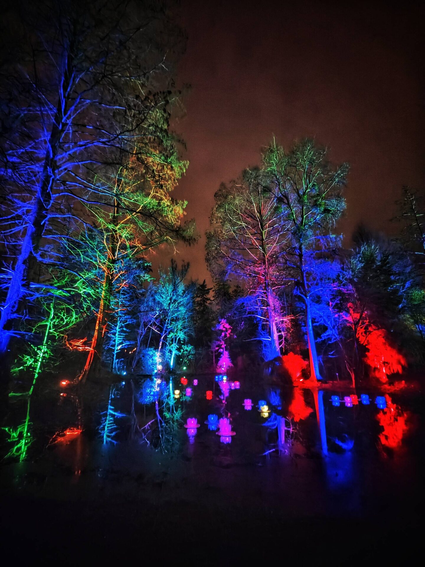 Winterliche Illuminationen in Erfurt | ©️ Paul Hentschel Photography