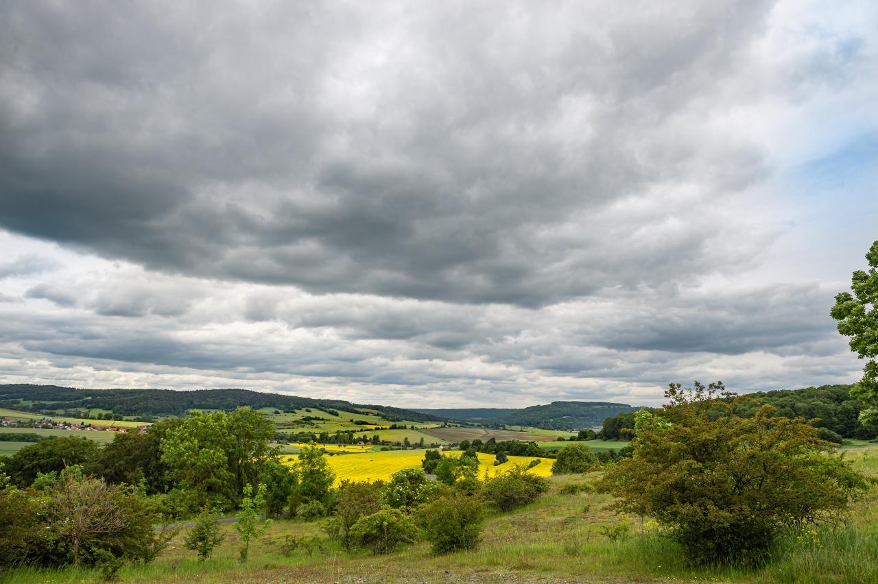 Foto: Wolfgang Fallier